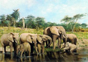 Elephants at Waterhole